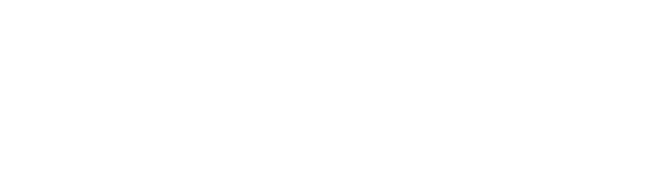 The Innovation Strategist